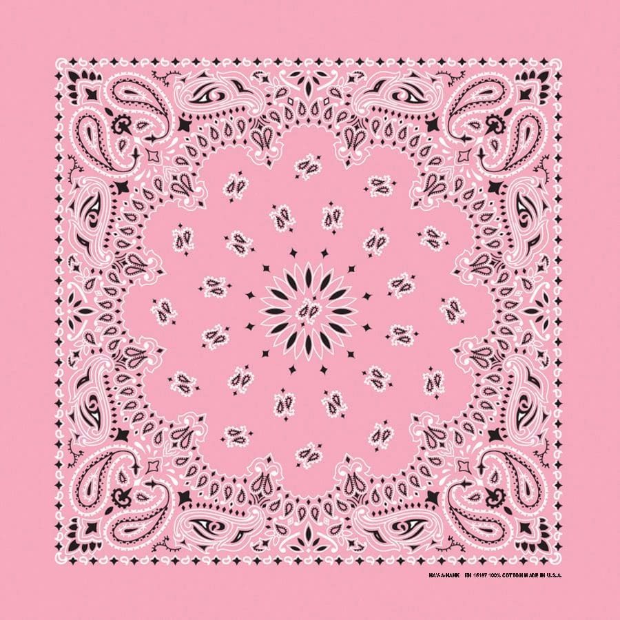 Bandana - Pink Paisley 22"x22" - Bandanas - Sparkling EARTH