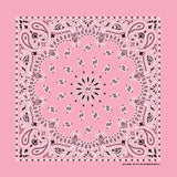Bandana - Pink Paisley 22"x22" - Bandanas - Sparkling EARTH